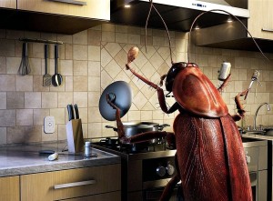 Тараканы на кухне
