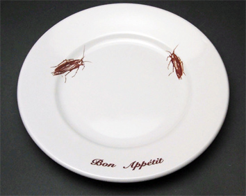 Тараканы в тарелке