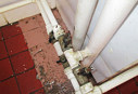 Уничтожение тараканов в общежитии